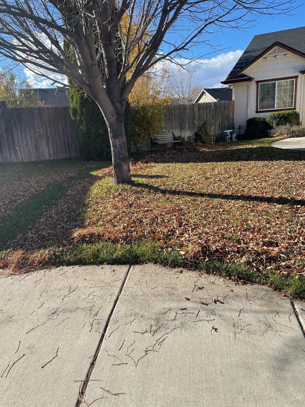 Lawn buried under a thick blanket of fallen autumn leaves before cleanup in Meridian, Idaho