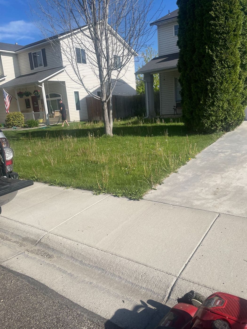 Overgrown front lawn with tall, seeding grass and weeds before mowing in Nampa, Idaho