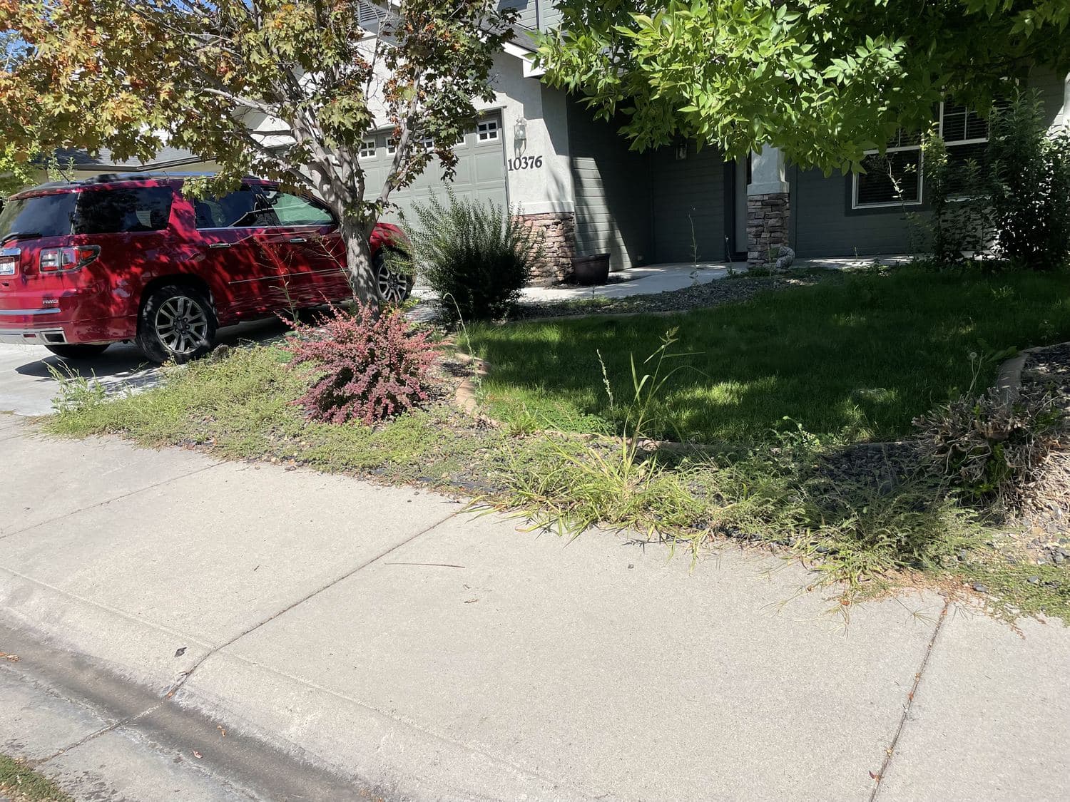 Rock garden beds and border overrun with tall weeds before treatment in Meridian, Idaho
