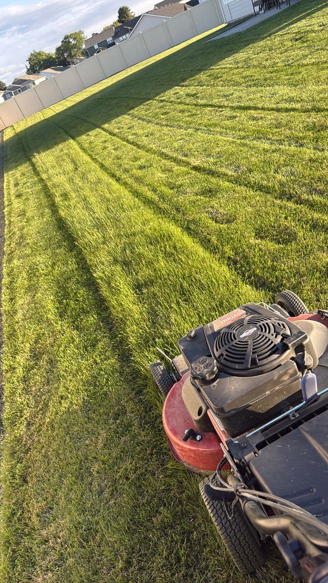 Fresh mowing stripes across a lush lawn