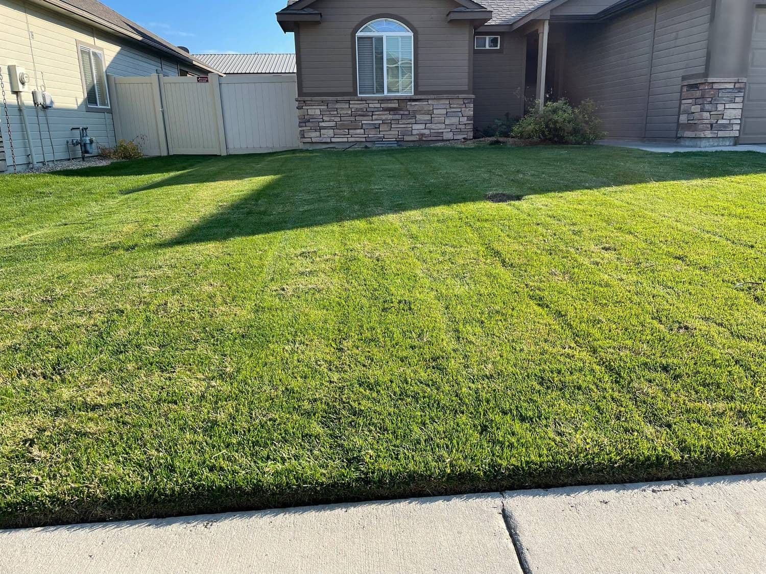 A pristine, freshly striped Treasure Valley lawn at the front of a home in Caldwell, Idaho